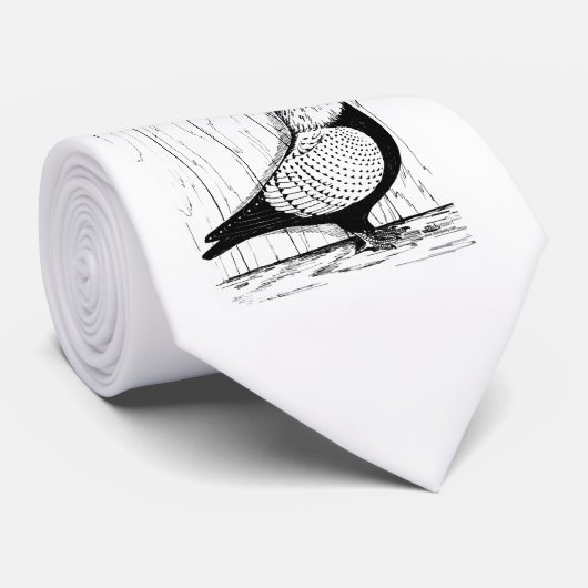 Starling Pigeon Silver-laced 1979 Krawatte (Gerollt)