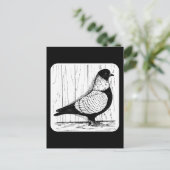 Starling Pigeon Silver-laced 1979 Postkarte (Stehend Vorderseite)