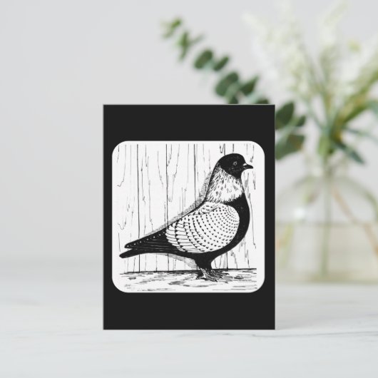Starling Pigeon Silver-laced 1979 Postkarte (Stehend Vorderseite)