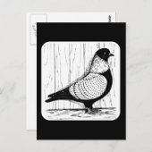 Starling Pigeon Silver-laced 1979 Postkarte (Vorne/Hinten)