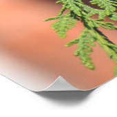 Starling Poster (Ecke)