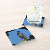 Starling Saguaro Cactus Beautiful Southwest Bird Glasuntersetzer (Schrägansicht)