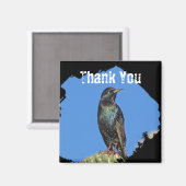 Starling Saguaro Cactus Beautiful Southwest Bird Magnet (Vorderseite/Rückseite)