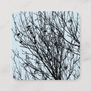 Starlings in einem Baum - Black on Bale Blue D3E5E Quadratische Visitenkarte