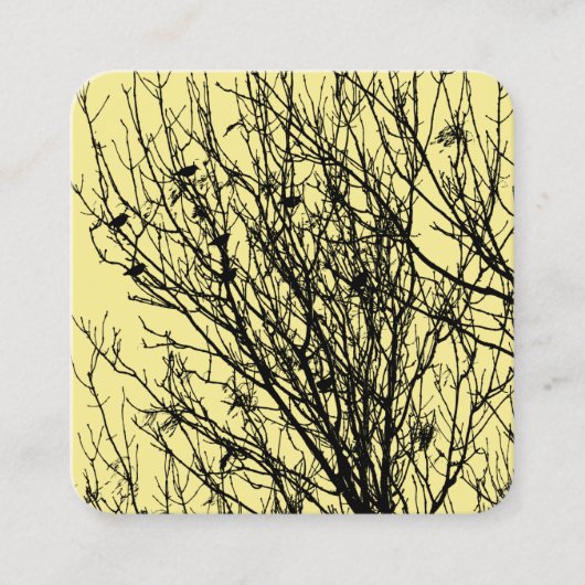 Starlings in einem Baum - Black on Bale Yellow F5E Quadratische Visitenkarte (Vorderseite)