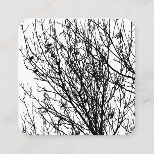 Starlings in einem Baum - Schwarz auf Weiß Quadratische Visitenkarte (Vorderseite)