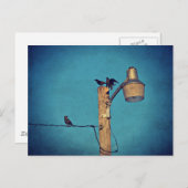 Starlings Postkarte (Vorne/Hinten)