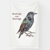 Starlings sind Darlings Banner (Vertikal)
