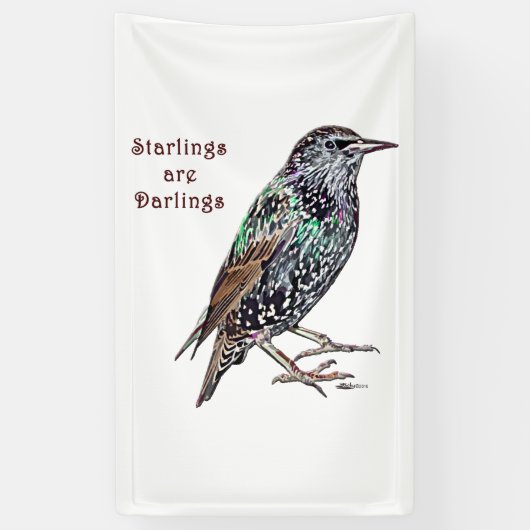 Starlings sind Darlings Banner (Vertikal)