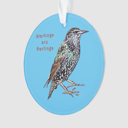 Starlings sind Darlings Ornament (Vorderseite)