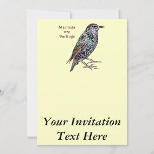 Starlings sind dunkel einladung