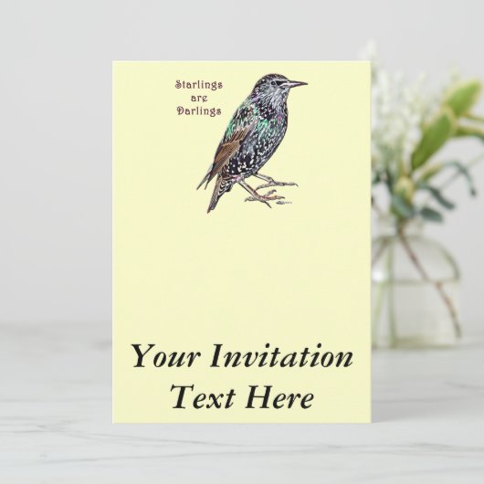 Starlings sind dunkel einladung (Stehend Vorderseite)