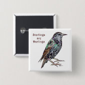 Starlings sind Lieblinge Button (Vorne & Hinten)
