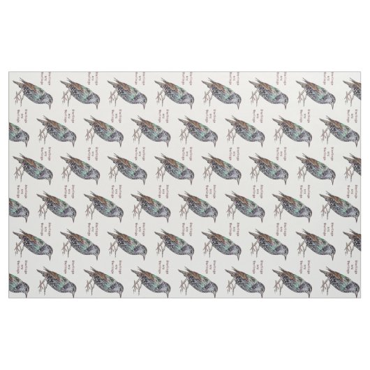 Starlings sind Lieblinge Stoff (Yard (91,4 cm))
