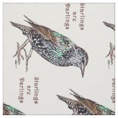 Starlings sind Lieblinge Stoff (Muster)