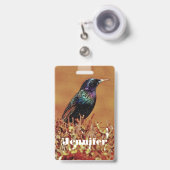 Starlings-Vogel Ausweis (Vorderseite mit Ausziehbar)