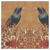 Starlings-Vogel-Gewebe Stoff (Nahaufnahme)
