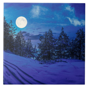 Starre Nacht mit Vollmond im Wald Fliese
