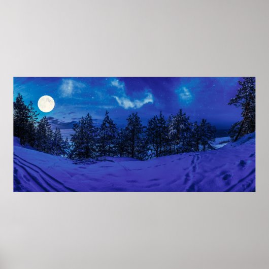 Starre Nacht mit Vollmond im Wald Poster (Vorne)
