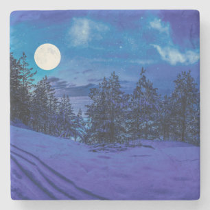 Starre Nacht mit Vollmond im Wald Steinuntersetzer