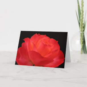 Starre Red-orange Rose Mütter Tageskarte Karte