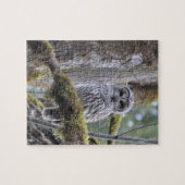 Starren Sie unten mit der Eule an Puzzle (Horizontal)