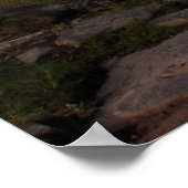 Starr's Mill Poster (Ecke)