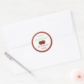 Starry Christmas Ornament Stickers (Umschlag)