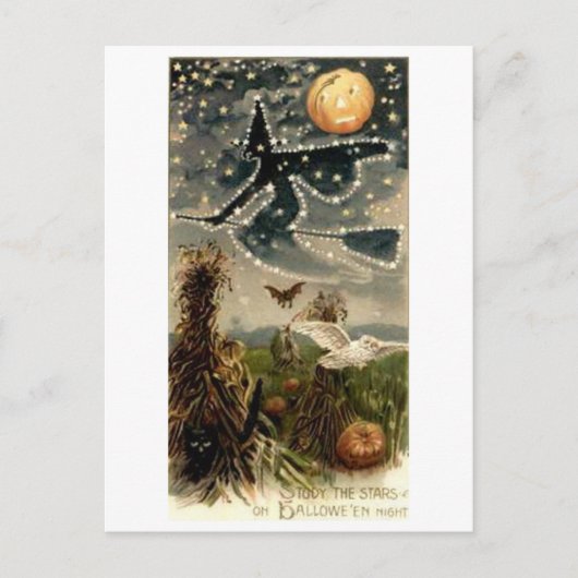 Starry Hexe auf Broomstick Postkarte (Vorderseite)