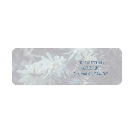 Starry Magnolia 3172 (Vorne)