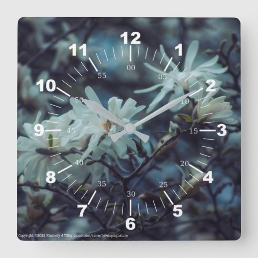 Starry Magnolia 3172 Quadratische Wanduhr (Vorderseite)
