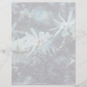 Starry Magnolia 3 172 (Vorderseite)