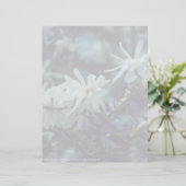 Starry Magnolia 3 172 (Stehend Vorderseite)