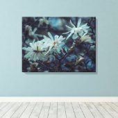 Starry Magnolia 3 172 Leinwanddruck (Insitu (Holzboden))