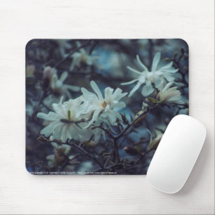 Starry Magnolia 3 172 Mousepad