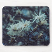 Starry Magnolia 3 172 Mousepad (Vorne)