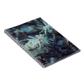 Starry Magnolia 3 172 Notizblock (Rechte Seite)