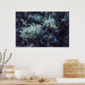 Starry Magnolia 3 172 Poster (Küche)