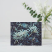 Starry Magnolia 3 172 Postkarte (Stehend Vorderseite)