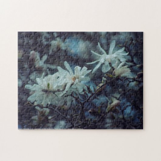 Starry Magnolia 3 172 Puzzle (Horizontal)