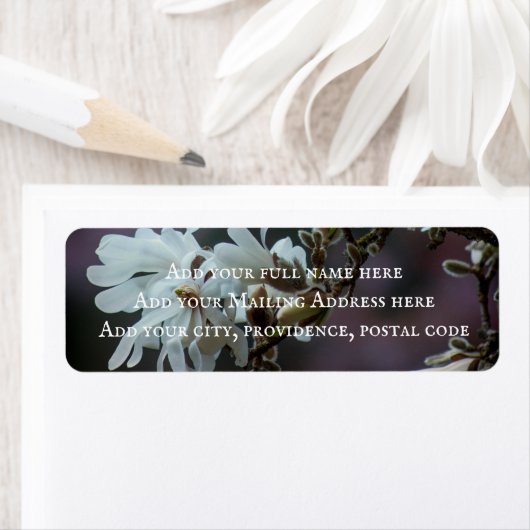 Starry Magnolia 5780 (Insitu)