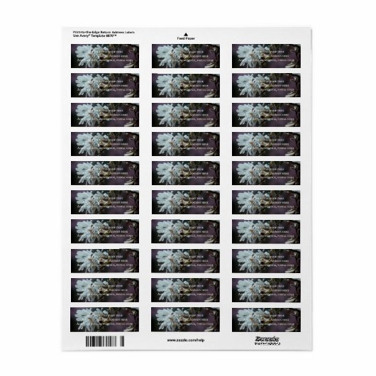 Starry Magnolia 5780 (Vorne)