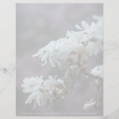 Starry Magnolia 5780 (Vorderseite)