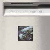 Starry Magnolia 5780 Magnet (In Situ (Geschirrspüler))