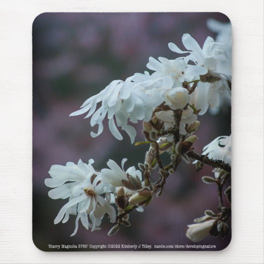 Starry Magnolia 5780 Mousepad (Vorne)