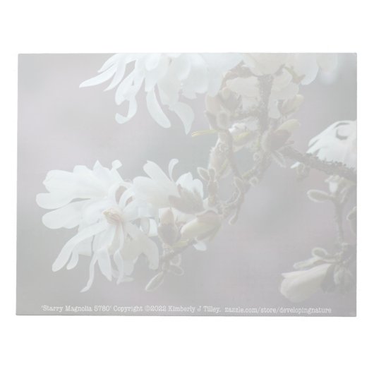 Starry Magnolia 5780 Notizblock (Vorderseite)