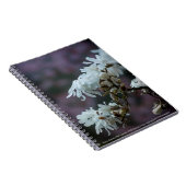 Starry Magnolia 5780 Notizblock (Rechte Seite)
