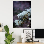 Starry Magnolia 5780 Poster (Heimbüro)