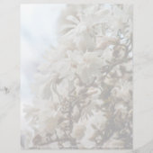 Starry Magnolia 5781 (Vorderseite)