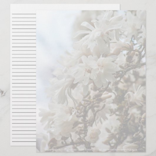 Starry Magnolia 5781 (Vorne/Hinten)